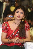 Sreeleela Half Saree Photos
